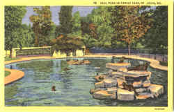 Seal Pond In Forest Park Postcard