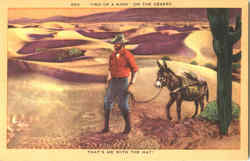 Two Of A Kind On The Desert Postcard