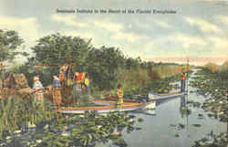 Seminole Indians In The Heart Of The Florida Everglades Postcard