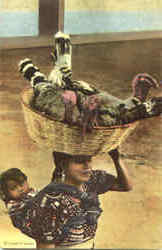 To Market, Chichicastenango Postcard