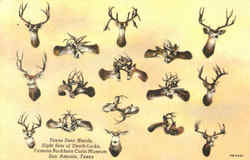 Stock #42223 Thumbnail