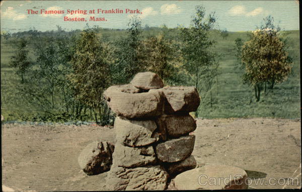 The Famous Spring at Franklin Park Boston Massachusetts