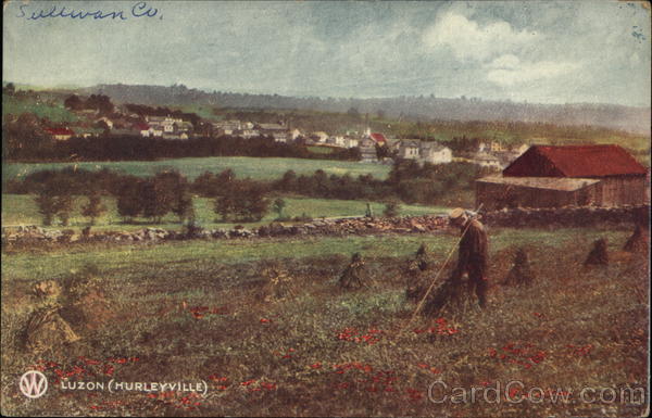 Sullivan County Farmer in Field Hurleyville New York