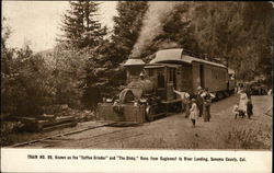 Train No. 99 Sonoma County, CA Trains, Railroad Postcard Postcard Postcard