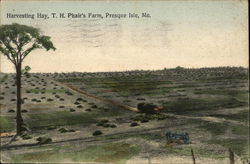 Harvesting Hay, T. H. Phair's Farm Presque Isle, ME Postcard Postcard Postcard