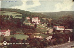 View of Mountain Dale Postcard