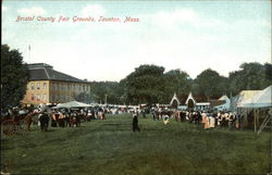 Bristol County Fair Grounds Taunton, MA Postcard Postcard Postcard