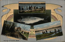 Souvenir of Taunton Souvenir of Taunton