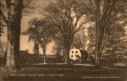 Forty Acres Hadley, MA Postcard Postcard Postcard