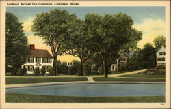 Looking Across the Common Postcard