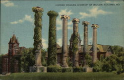 Historic Columns, University of Missouri Postcard