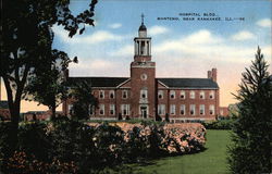 Hospital Building, Manteno Postcard