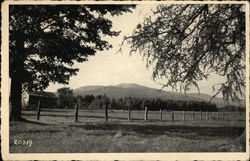 View of Mt. Stinson Postcard