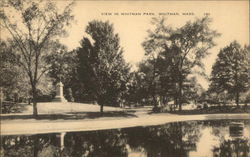 View in Whitman Park Postcard