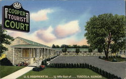 Cooper Tourist Court Tuscola, IL Postcard Postcard Postcard