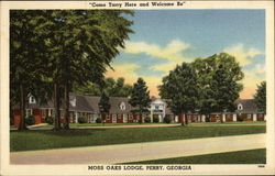 Moss Oaks Lodge Postcard