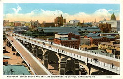 Mulberry Street Bridge and Sky Line Postcard