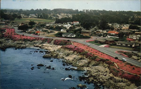 Aerial View of Town and Magic Carpet Pacific Grove California