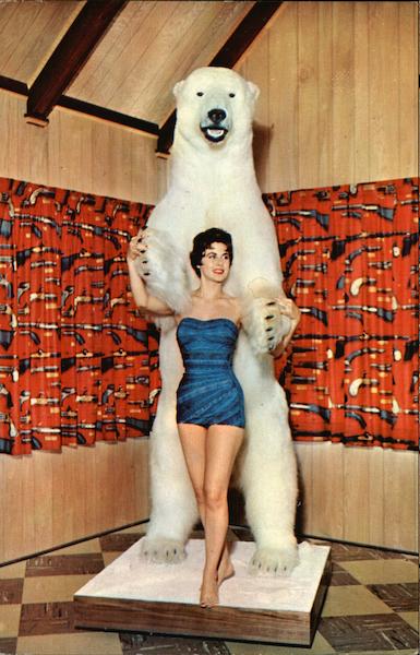 Polar Bear Harrisburg Pennsylvania Shuey, Brown's Studio