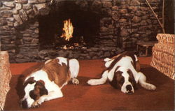 Summit Lodge Postcard