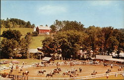 Horse Show Time South Woodstock, VT Postcard Postcard Postcard