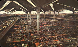 Stock #503684 Thumbnail