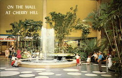 Cherry Hill Shopping Center Postcard