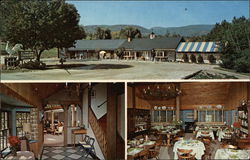 Country Restaurant Postcard