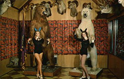 Stock #504222 Thumbnail