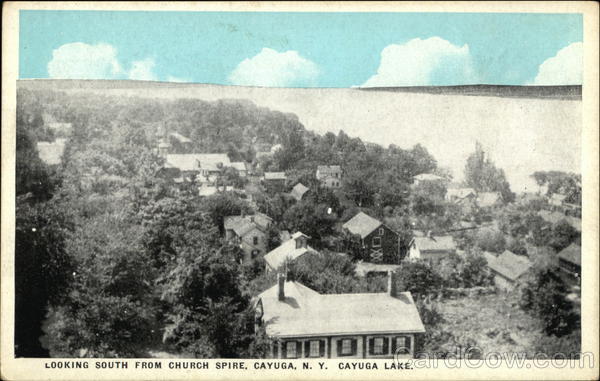 Looking South from Church Spire, Cayuga Lake New York