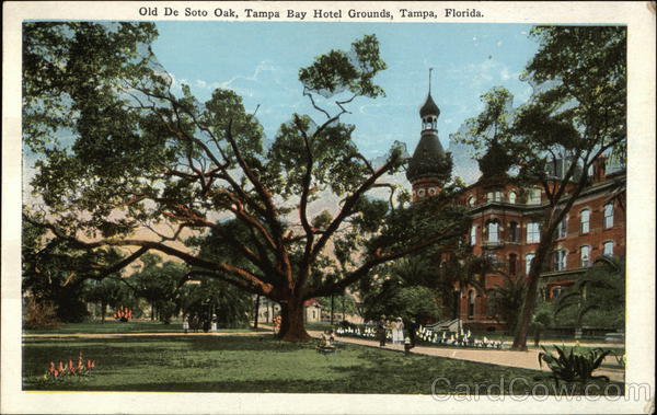 Old De Soto Oak, Tampa Bay Hotel Grounds Florida