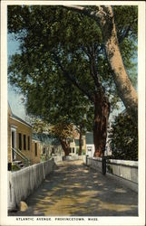 Atlantic Avenue Postcard