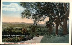 A Road View Near Lake Winnepesaukee Melvin Village, NH Postcard Postcard Postcard