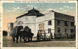 Elephant House and Elephant Exercising, Franklin Park Boston, MA Postcard Postcard Postcard
