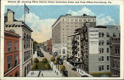 Walnut St. Showing Penn Harris Hotel, Columbus Hotel and Post Office Postcard