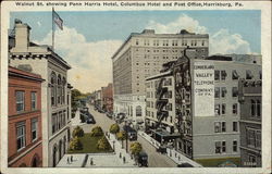 Walnut St. Showing Penn Harris Hotel, Columbus Hotel and Post Office Harrisburg, PA Postcard Postcard Postcard