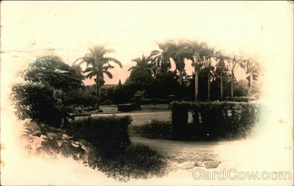 View in Honolulu Hawaii