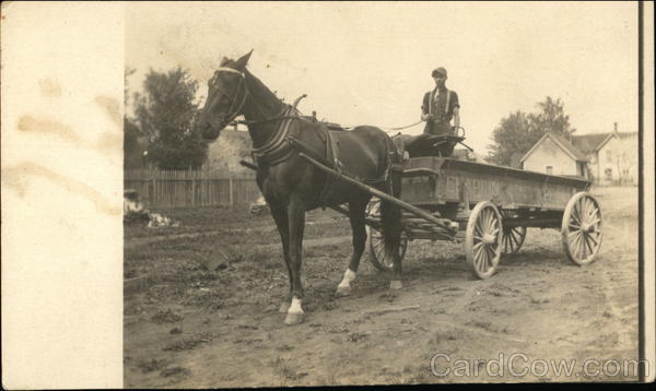Horse Pulling Wagon Horses
