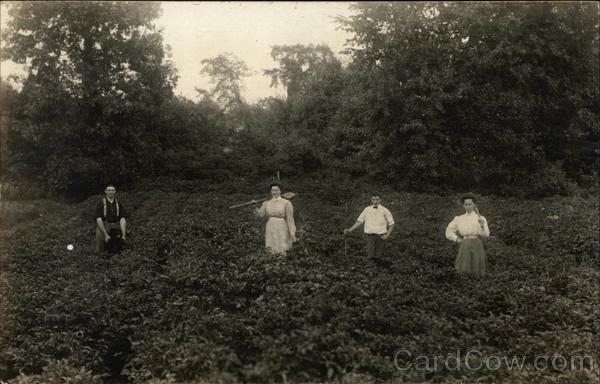 People in Field Harvesting Farming