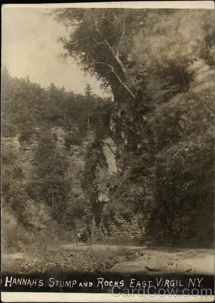 Hannah's Stump and Rocks East Virgil New York