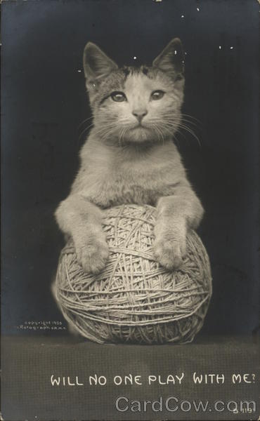 Cat and Ball of Yarn Cats