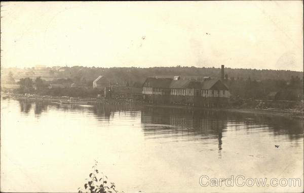 View of Town Maine