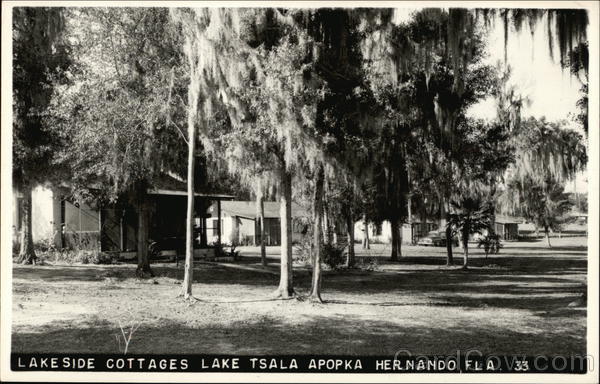 Lakeside Cottages by Lake Tsala Apopka Hernando Florida
