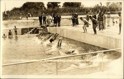 Hotel Garu Crespo Swimming Pool Postcard