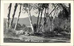 View of Mt. Chocorua Postcard