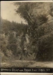 Hannah's Stump and Rocks Postcard