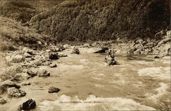 Stock #505732 Thumbnail