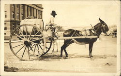 Stock #505825 Thumbnail