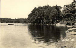 North Pond Postcard