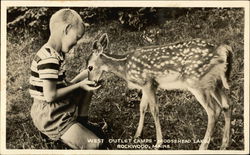 West Outlet Camps - Moosehead Lake Postcard